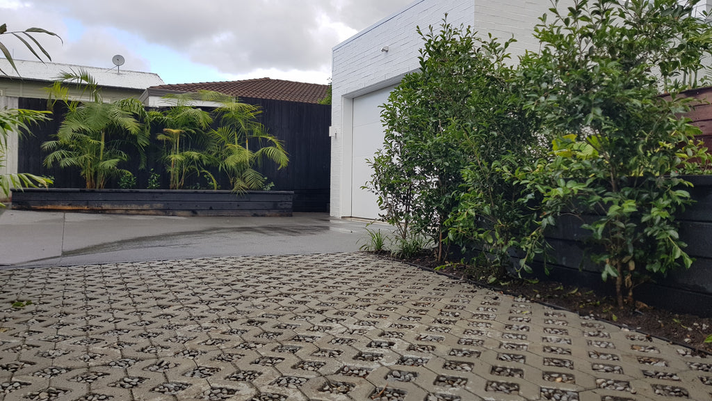 Top 10 Winter Landscaping Tips
