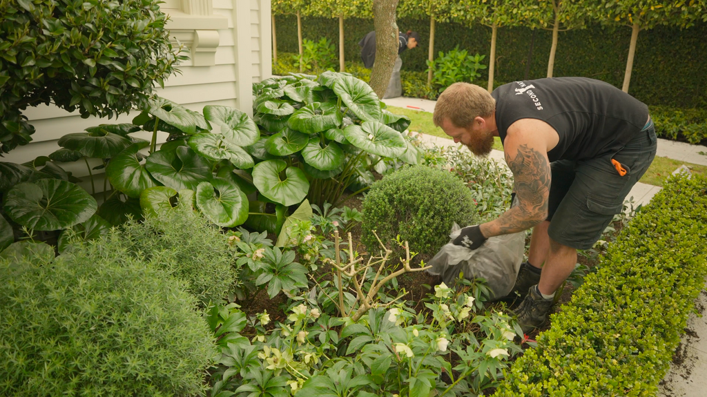 Mulching with Second Nature