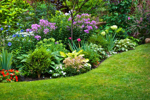 Summer 2023 - the garden checklist