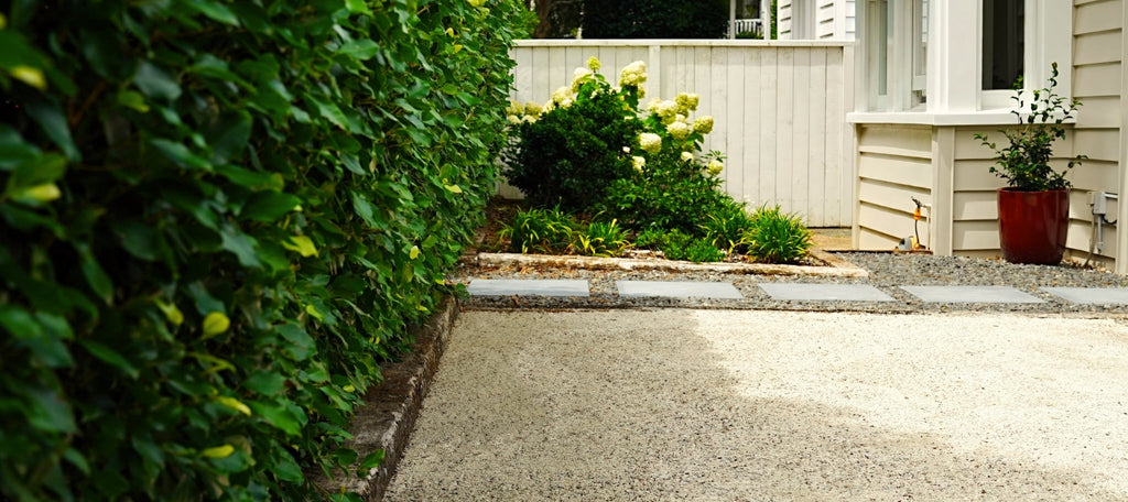 Inner City Rustic Charm with Franc Landscapes