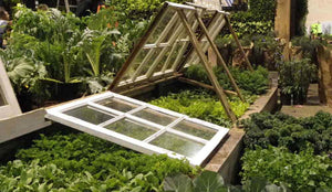 Cloches and Cold Frames for growing through the winter