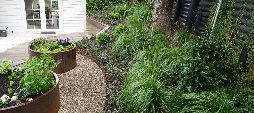 Bee Green Landscaping brings new life to Campbells Bay property