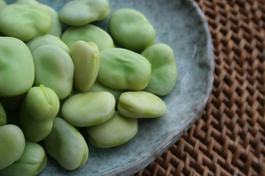 Getting the best out of Broad Beans
