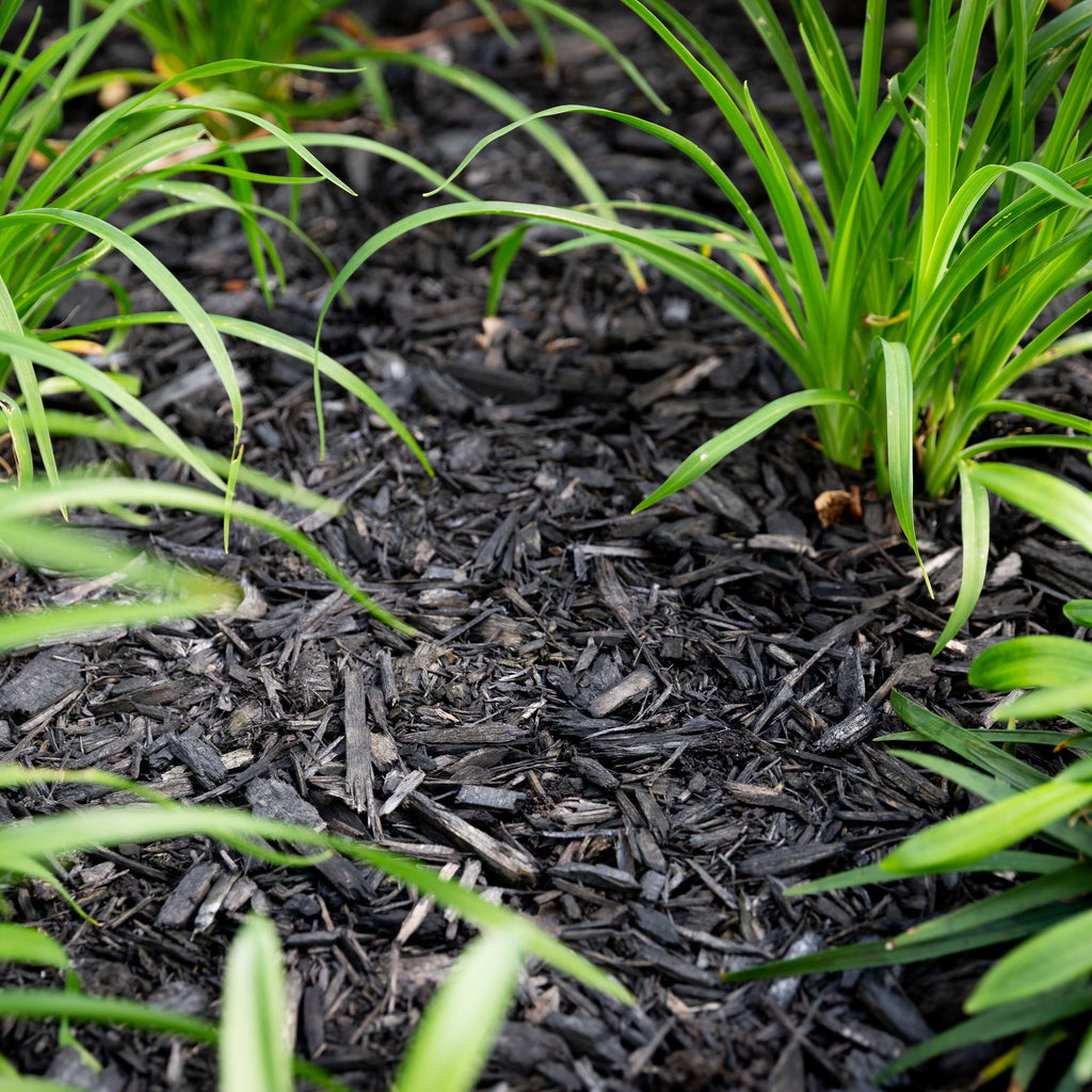 Black Decorative Mulch is saving your garden and Auckland’s landfill!