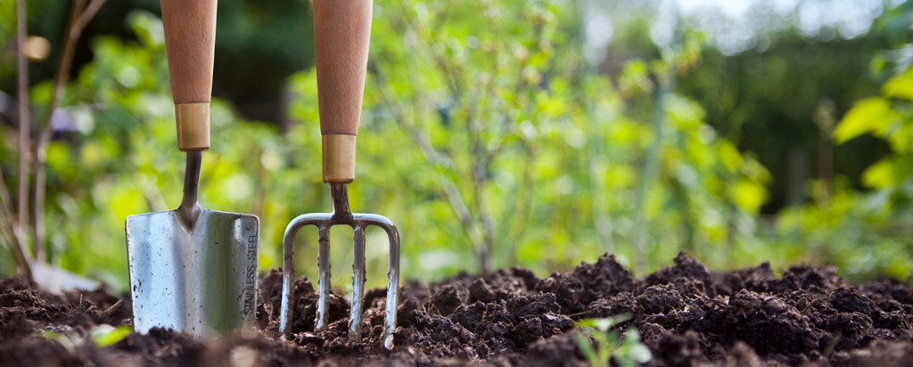June Garden Guide & Landscaping Tips