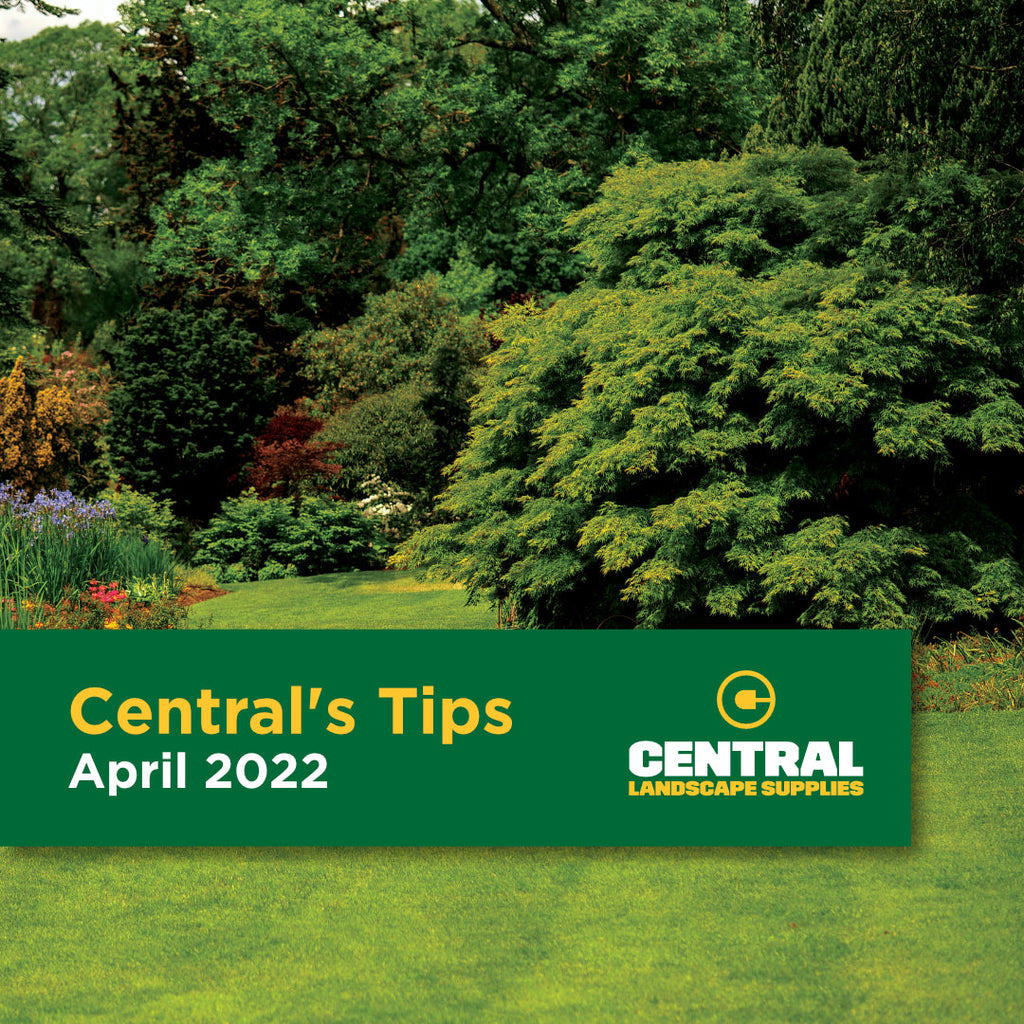 Central's Tips April 2022