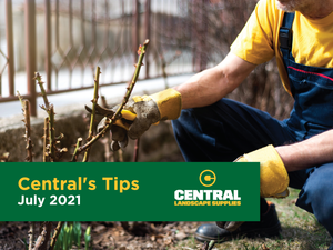 Centrals Tips - July 2021