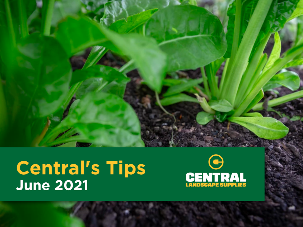 Central's Tips - June 2021
