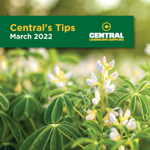 Centrals Tips March 2022