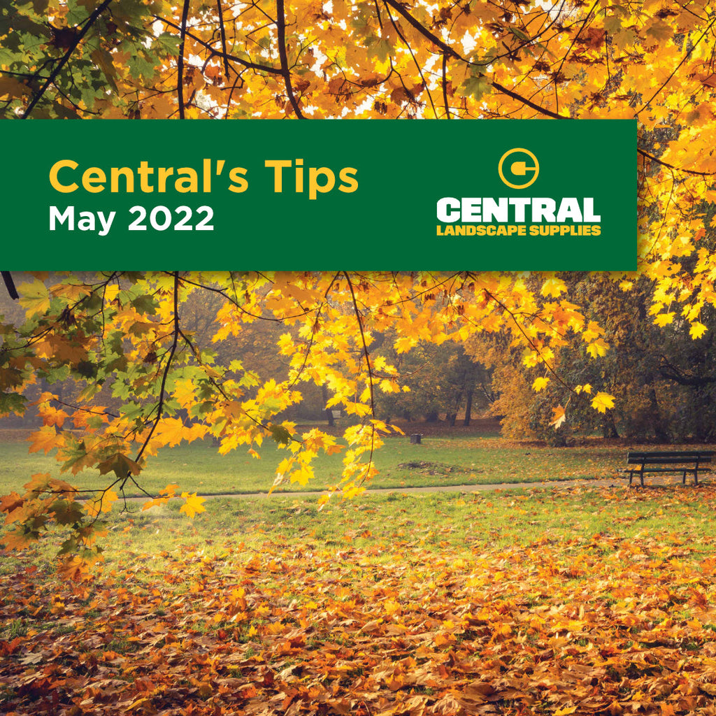 Central's Tips May 2022