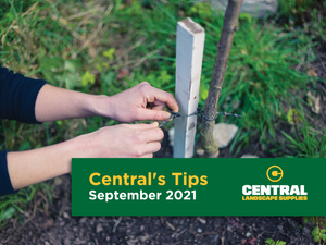 Centrals Tips - September 2021