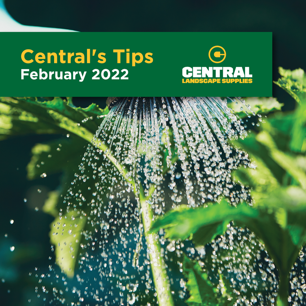 Central's Tips February 22