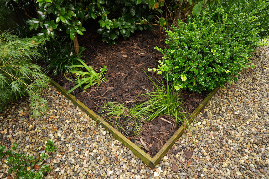 Rejuvenate your Garden Beds with Mulch