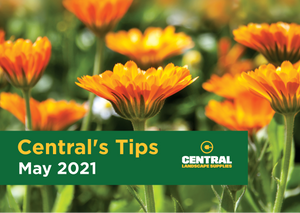 Central's Tips - May 2021