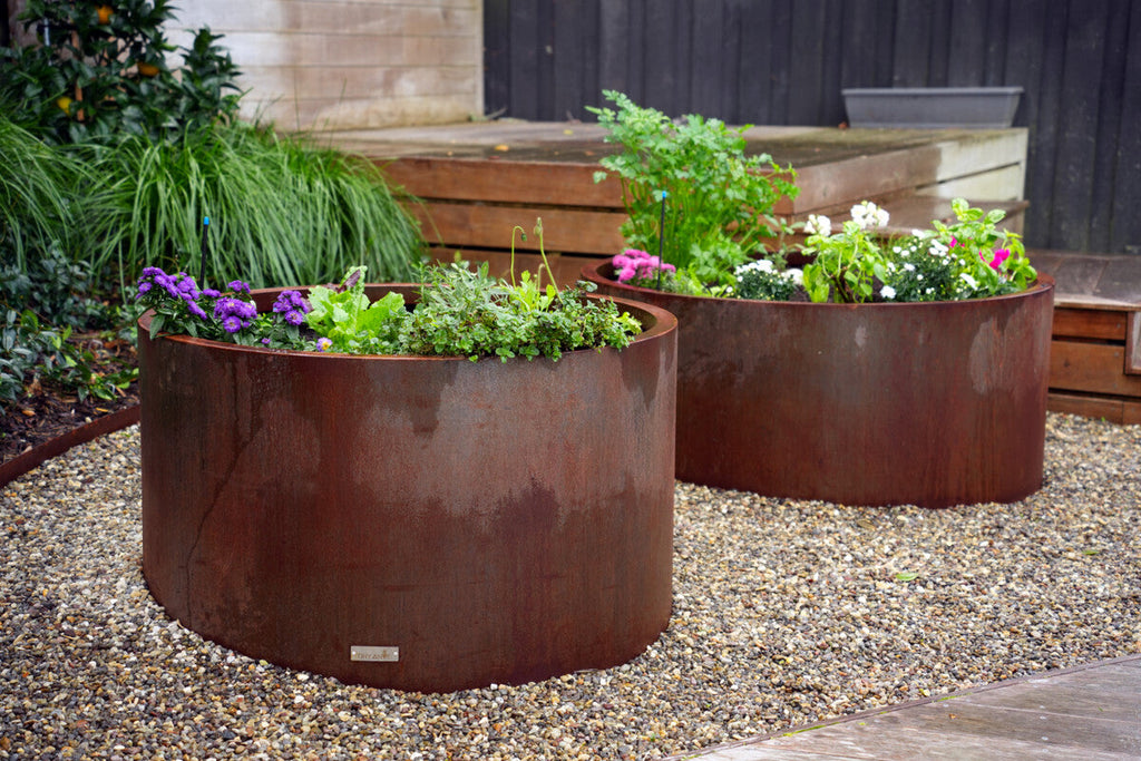 Bee Green Landscaping brings new life to Campbells Bay property