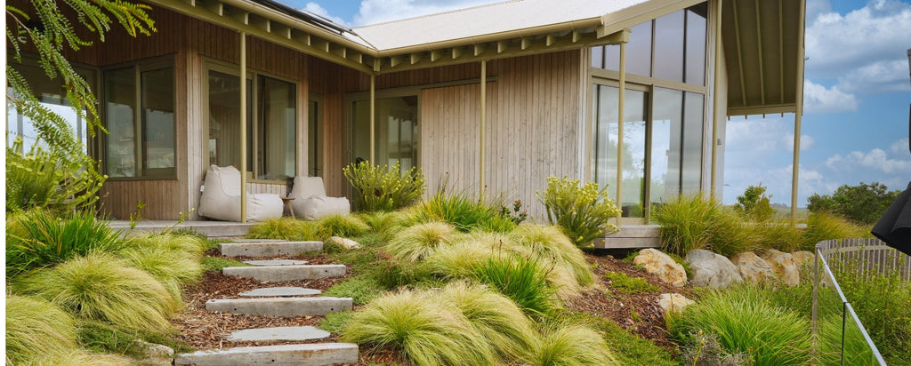 Te Arai Coastal Landscape Transformation | Rochford Landscapes