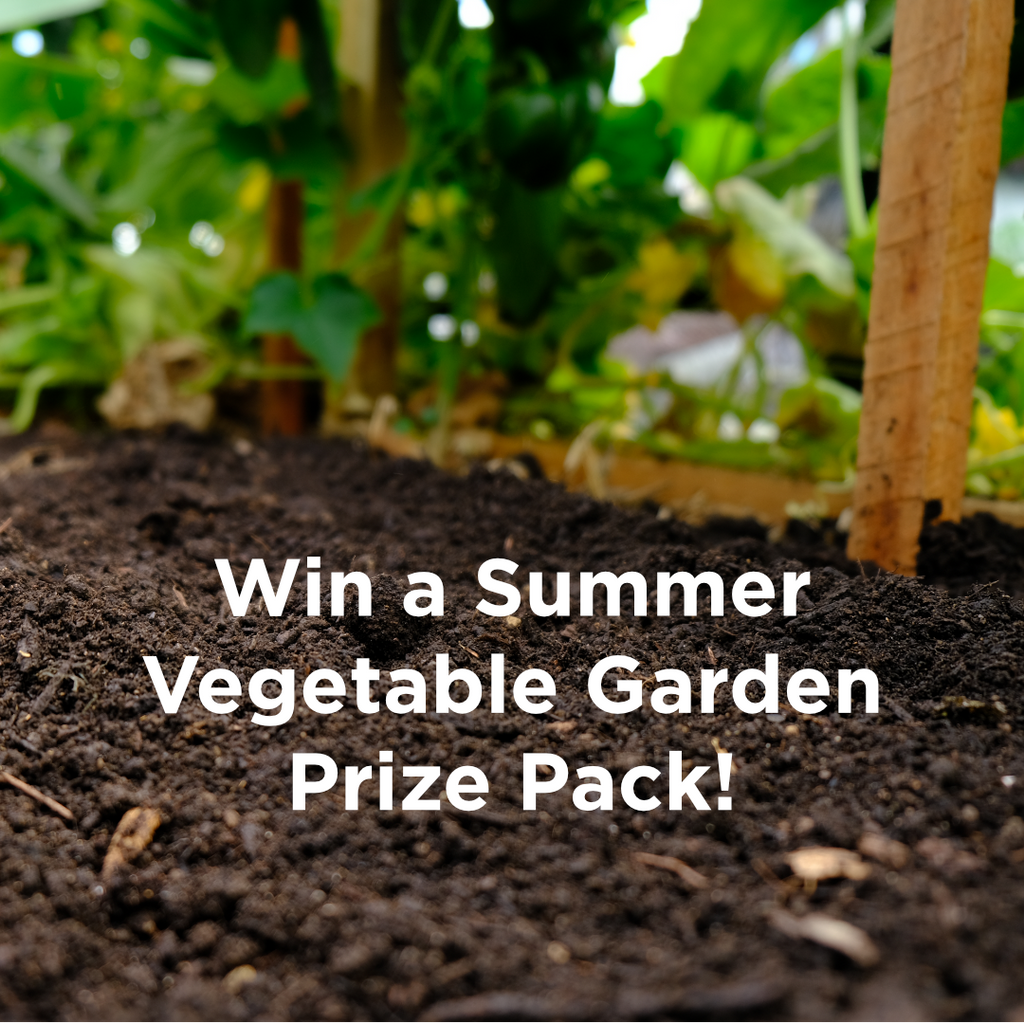 Win a Summer Vegetable Garden Prize Pack