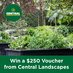 Central Landscapes’ Win – Show us your Vegetable Patch Competition