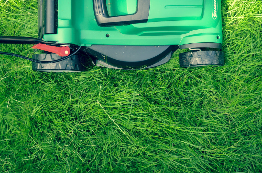 Maintaining a good lawn: how do I keep my lawn looking great?