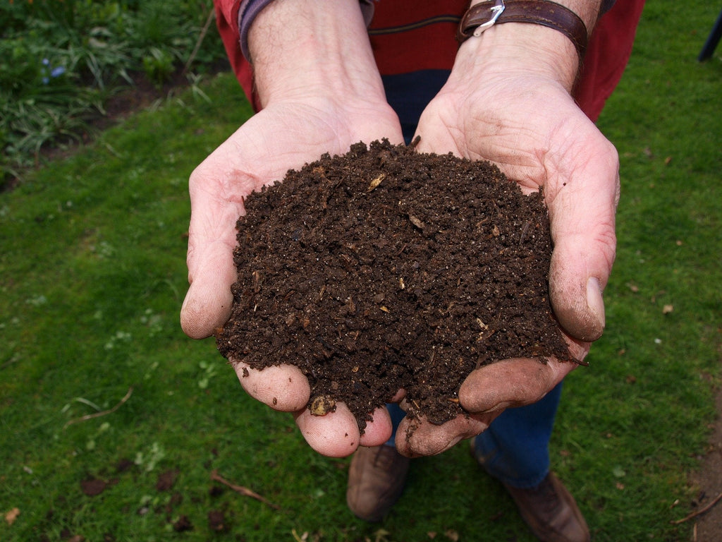 How compost takes your garden to a whole new level