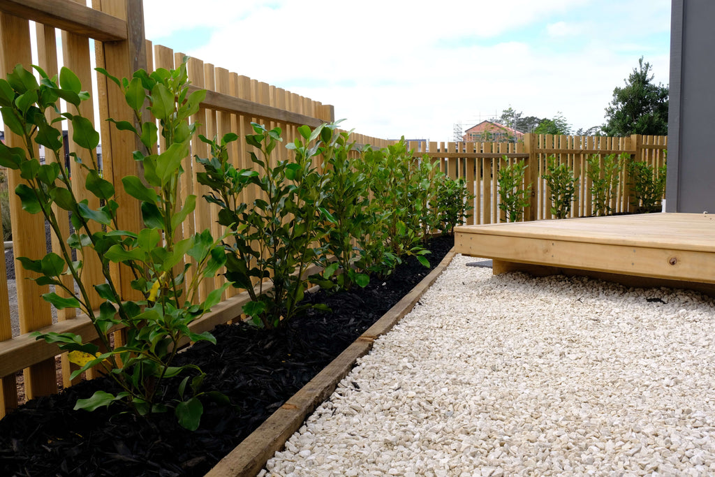 Creating a sleek, high-contrast garden with white chip and black mulch