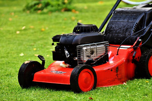 Mowing your lawn correctly