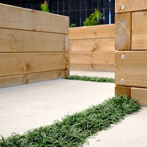 Timber Sleepers | Ponga Logs | Garden Edging