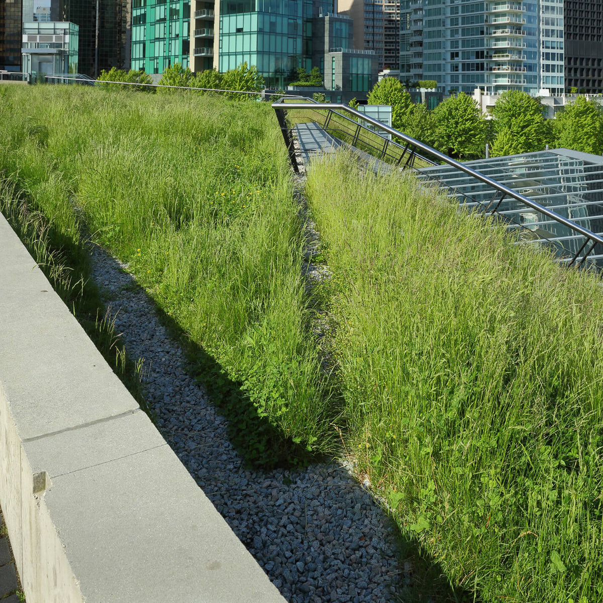 Soil Blend Green Roof (GR604)