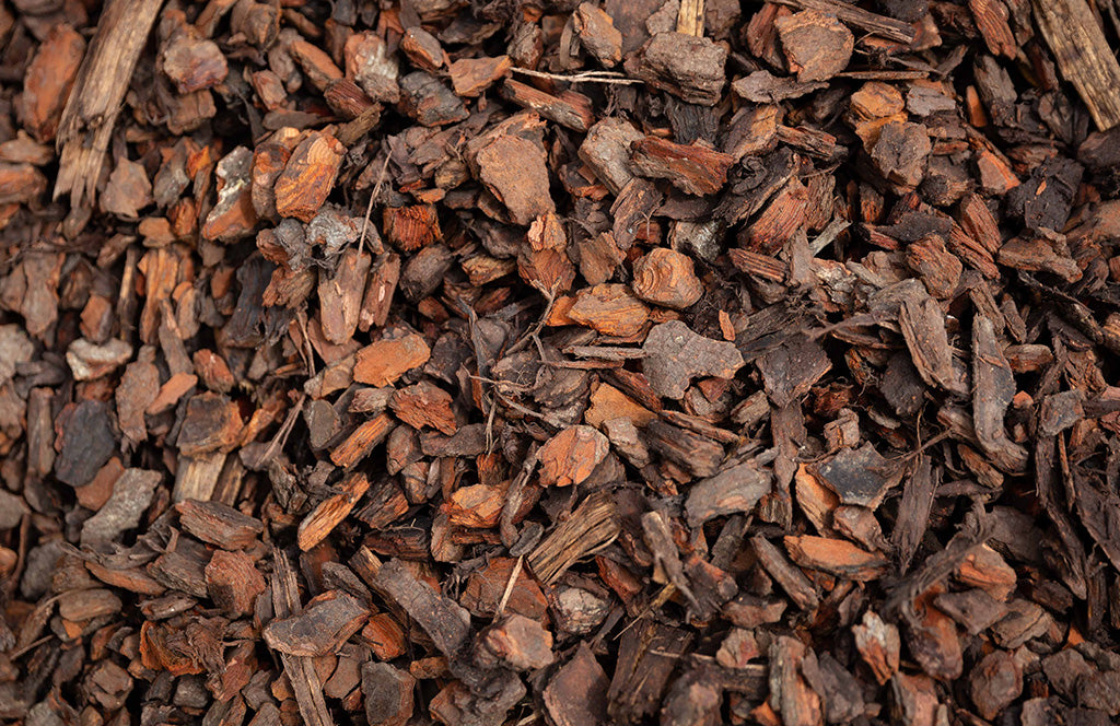 Bark