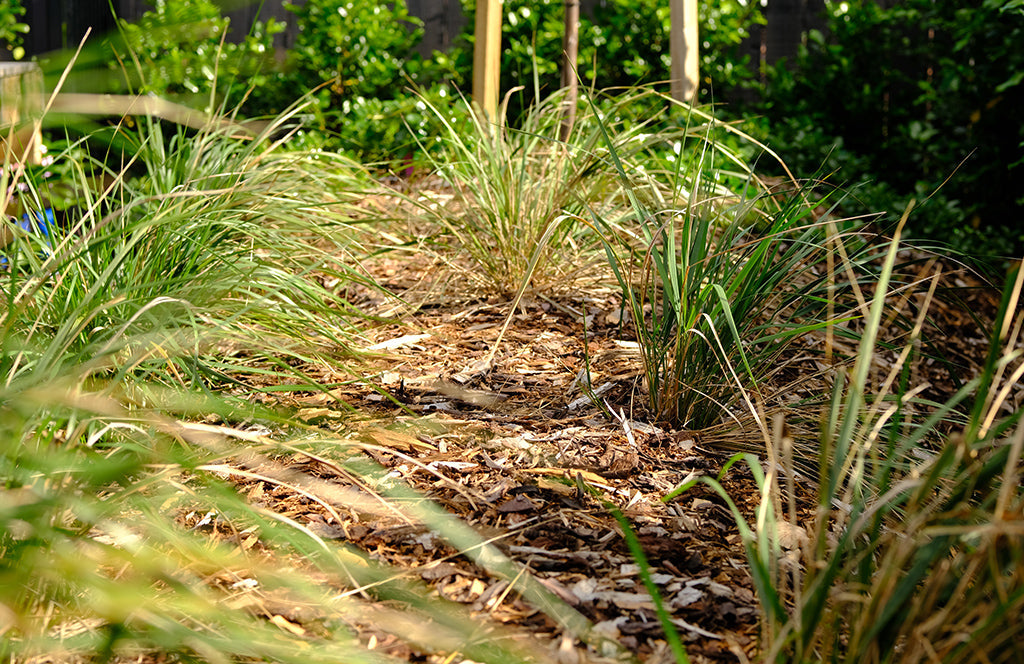 Forest floor mulch