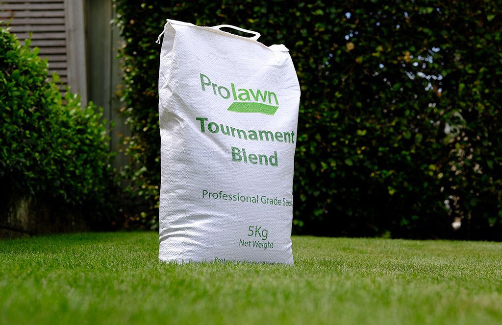 Prolawn Tournament Blend Grass Seed